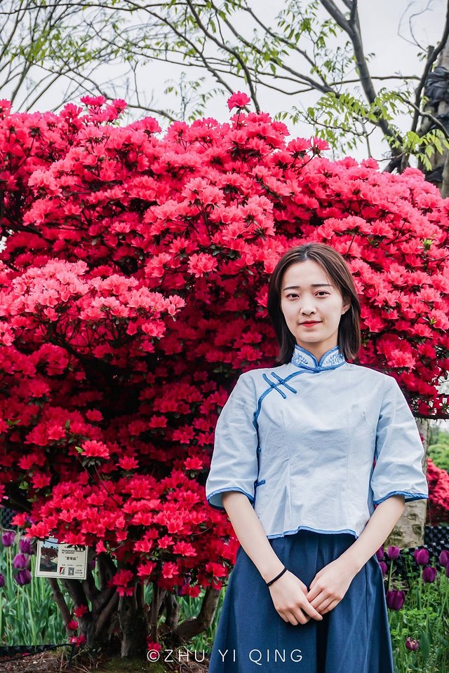 无锡赏花一日游,无锡春日樱花旅游攻略