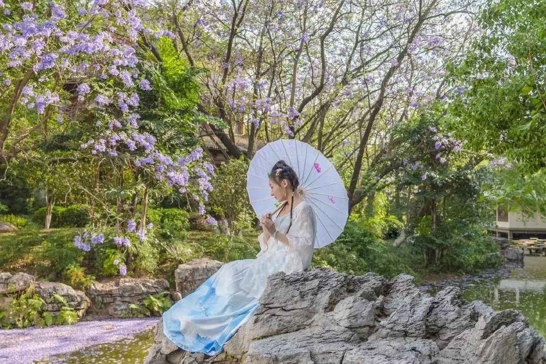 开远泸江公园图片,开远泸江公园