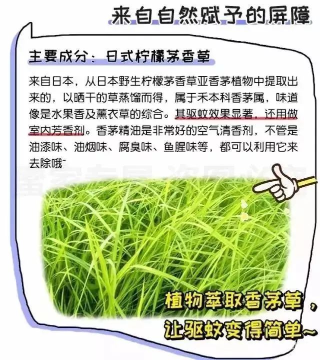 日本蚊虫叮咬止痒膏红皮,日本蚊子止痒的药膏