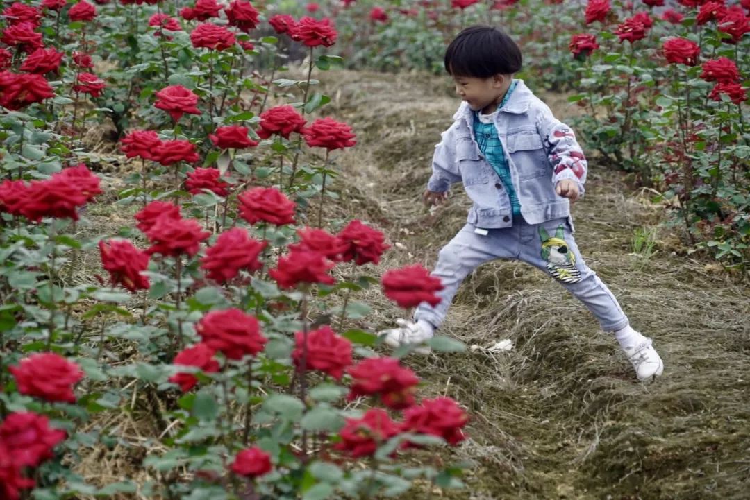 不必远行自有风景,不必远行在家度假