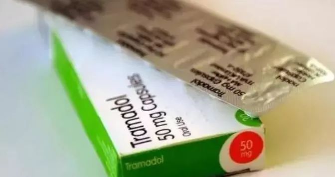 过海关被警察抓到,过海关被处罚视频