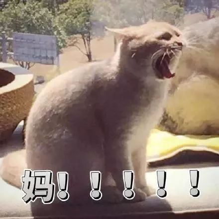 轮胎被钉子扎了去4s店还是修理厂,轮胎扎了1.5厘米深钉子拔了没漏气