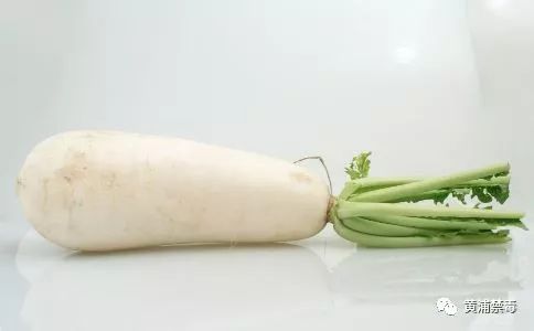 支气管炎食疗养生食谱,关于慢性支气管炎的自我保健措施