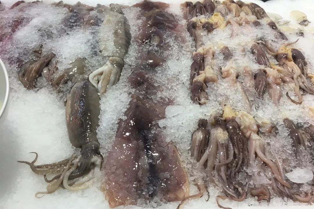 我们采访了32个人，发现盒马用户最好（hào）吃，你猜哪个生鲜用户必备双开门冰箱？