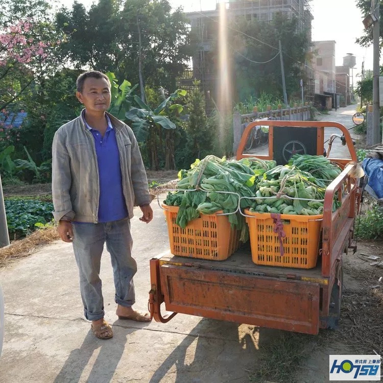 行摄肇庆·美丽砚洲岛——最接地气的生活记录，真实的力量打动人心