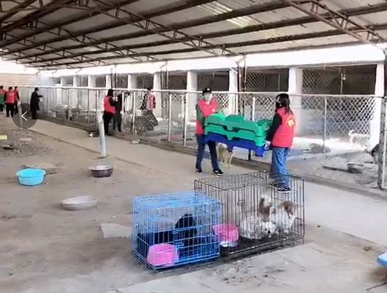 志愿沂蒙莒南,志愿沂蒙心连心