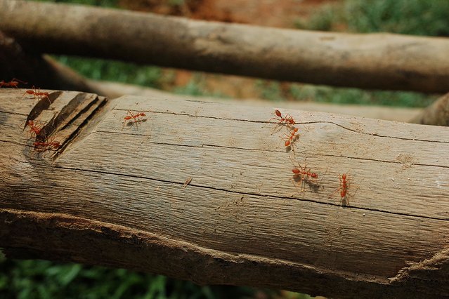 去那方简朴的国度干一瓶Beerlao‖老挝慢生活