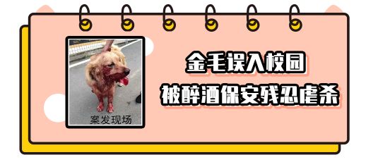 沐浴露猫咪专用1元,猫咪沐浴露0.1元