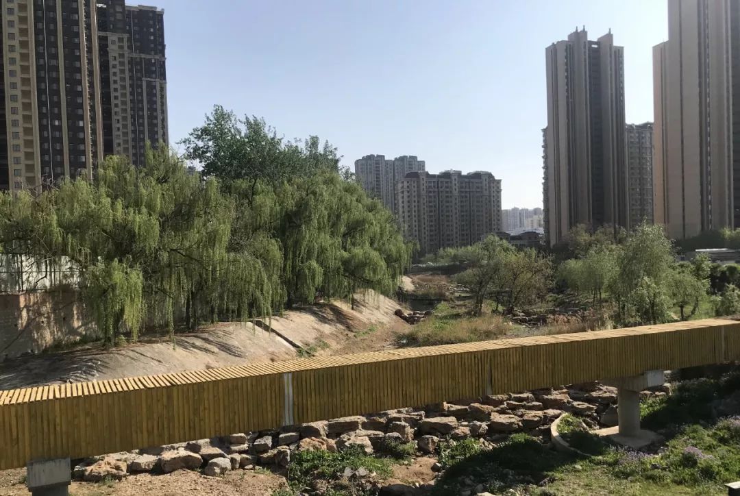 这里土地很贵!楼面价1万起!花园东路沿线,四楼盘利弊探访!