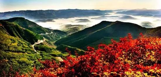 塞上江南的独特风韵,塞上江南大漠风情