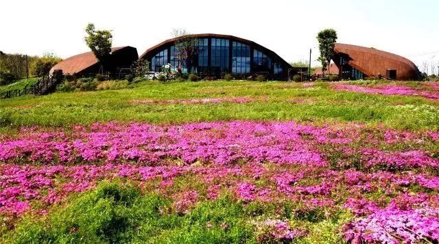 姹傚鐢熸棩娲惧甯冪疆,姹傚鍛婄櫧鐢熸棩娲惧甯冪疆