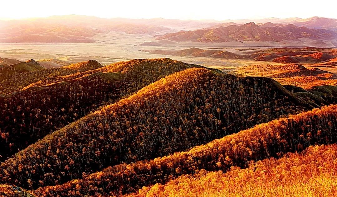 通辽文化旅游季来啦,通辽旅游活动