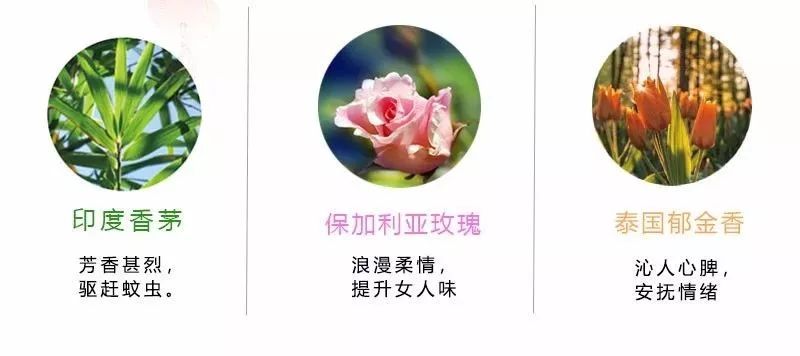 不带薄荷的驱蚊手环 (超级好用的一款驱蚊手环)