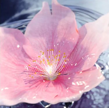 盲测14天揭密|年轻肌特训营收关，那瓶好评如潮的精华水究竟是谁？