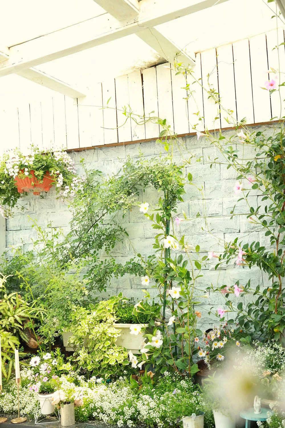 北京最美花店在哪里,北京哪个花店最美丽又好看