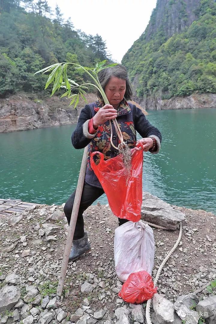 温州这座“孤岛”与世隔绝只有一户人家