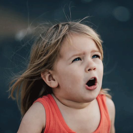 各种美味海鲜挑战你的味蕾,海鲜美食快来尝个鲜