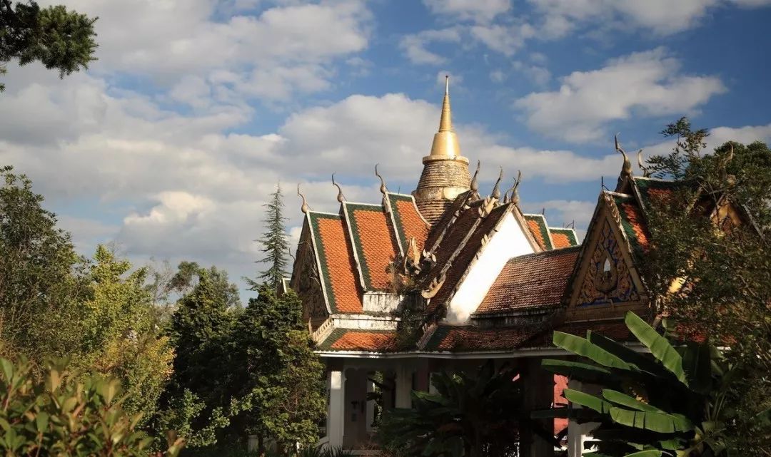 【潮玩】走啊，一起出去“浪里个浪儿~~~”