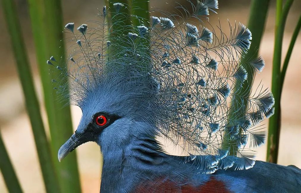 【潮玩】走啊，一起出去“浪里个浪儿~~~”