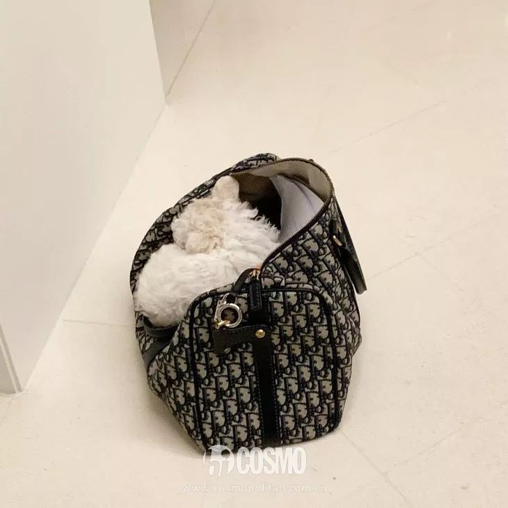 杨幂再次带火最新单品,杨幂最近带货