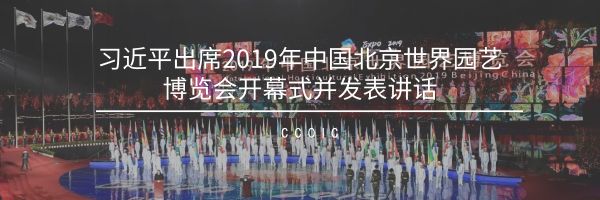 走进竹世界,2019北京世界园艺博览会参观经历