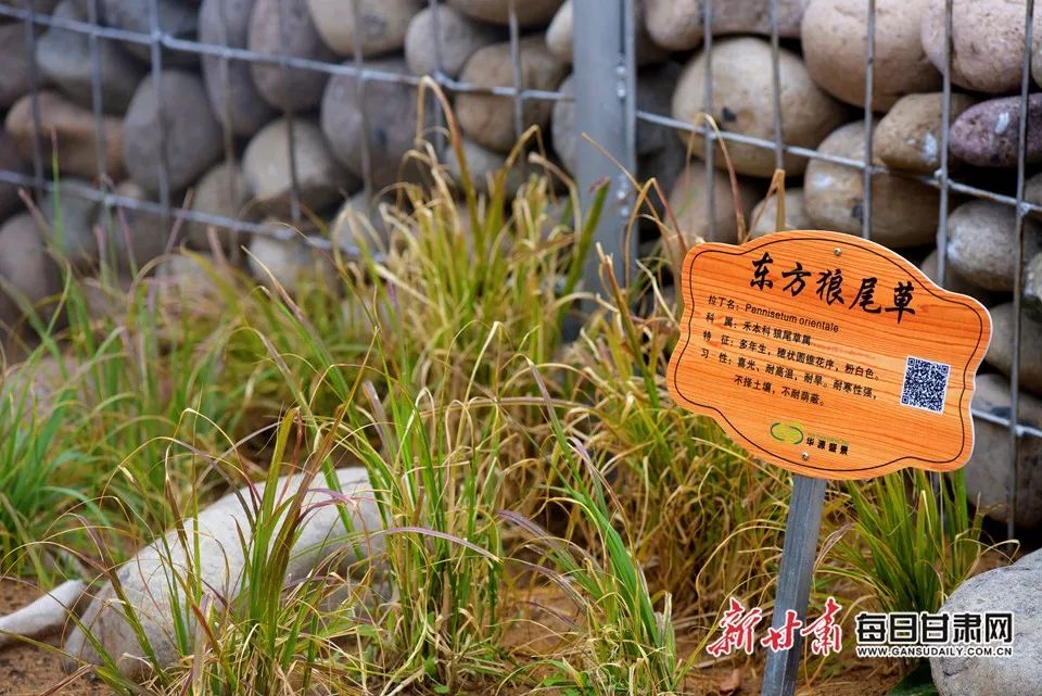 世园会甘肃园美丽的丝路画卷,飞天舞蹈表演甘肃