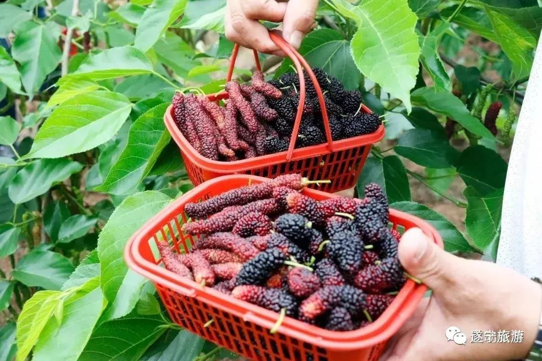 五一嗨起来山东济南,五一节嗨起来视频
