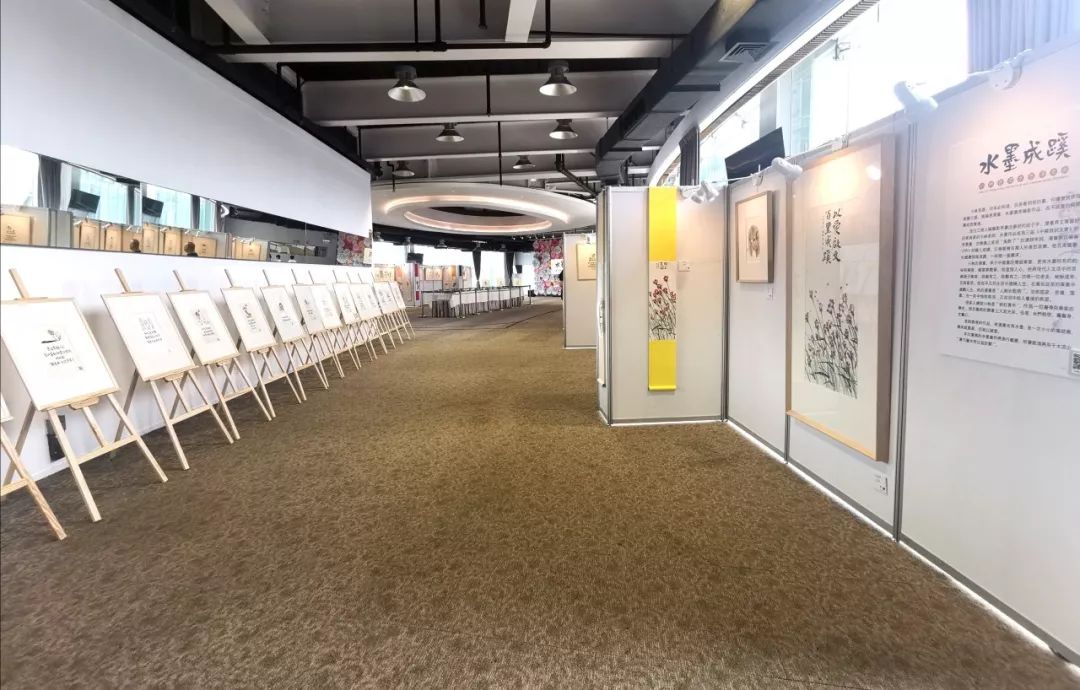 小林的专访,小林最新访谈节目