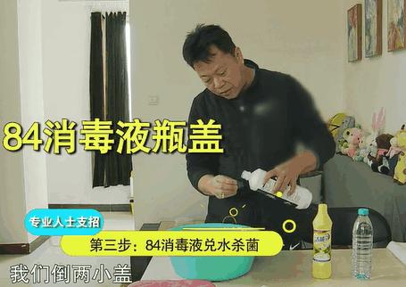 家里墙壁发霉怎么快速去除,墙壁发霉有很多小虫子怎么去除