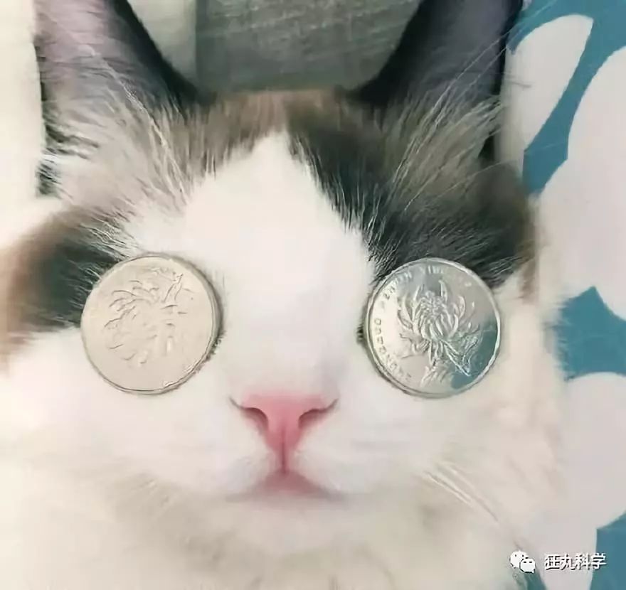 古代人有近视怎么办,古代人近视了该怎么办