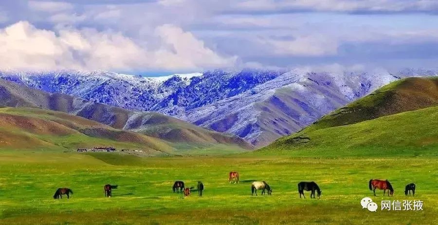 世界第一马场,世界上第一大的马场在哪里呢