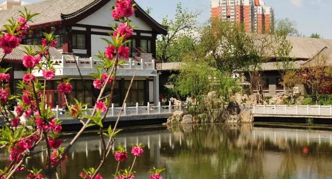 天津免费18个公园,城事天津