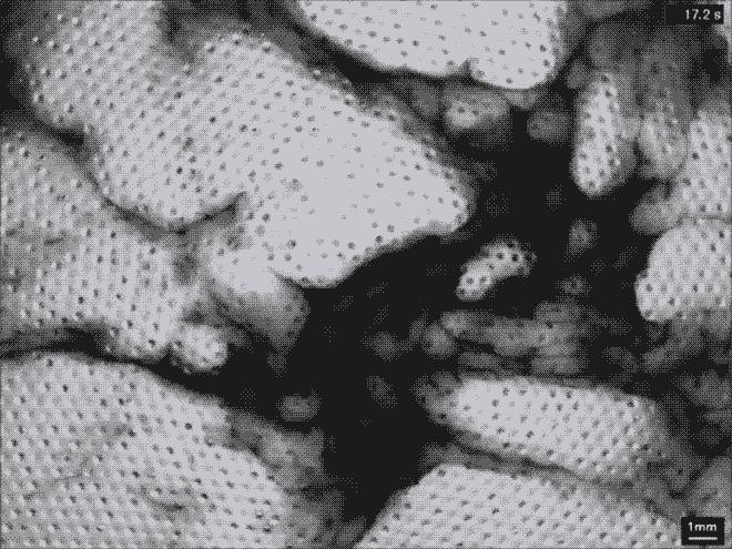 100张趣味化学反应动图,30张化学反应动图