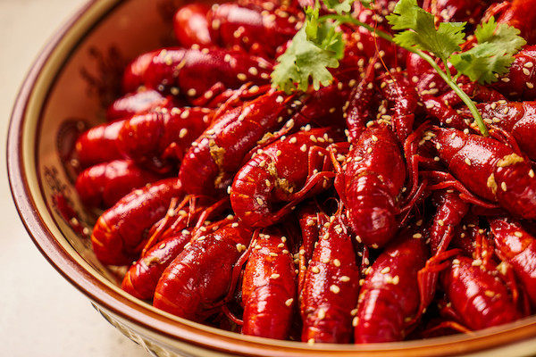 清爽型的啤酒有哪些,清爽啤酒最佳口感