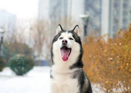 <html>
<head><title>502BadGateway</title></head>
<body>
<center><h1>502BadGateway</h1></center>
<hr><center>nginx</center>
</body>
</html>
<!--apaddingtodisableMSIEandChromefriendlyerrorpage-->
<!--apaddingtodisableMSIEandChromefriendlyerrorpage-->
<!--apaddingtodisableMSIEandChromefriendlyerrorpage-->
<!--apaddingtodisableMSIEandChromefriendlyerrorpage-->
<!--apaddingtodisableMSIEandChromefriendlyerrorpage-->
<!--apaddingtodisableMSIEandChromefriendlyerrorpage-->
