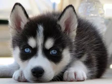 <html>
<head><title>502BadGateway</title></head>
<body>
<center><h1>502BadGateway</h1></center>
<hr><center>nginx</center>
</body>
</html>
<!--apaddingtodisableMSIEandChromefriendlyerrorpage-->
<!--apaddingtodisableMSIEandChromefriendlyerrorpage-->
<!--apaddingtodisableMSIEandChromefriendlyerrorpage-->
<!--apaddingtodisableMSIEandChromefriendlyerrorpage-->
<!--apaddingtodisableMSIEandChromefriendlyerrorpage-->
<!--apaddingtodisableMSIEandChromefriendlyerrorpage-->
