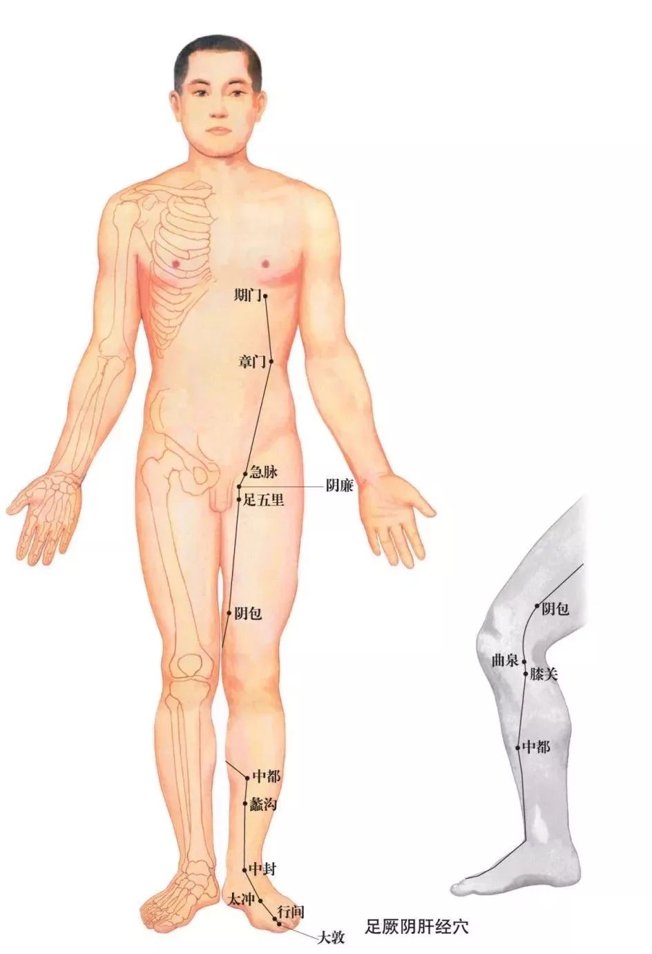 中医健康课堂｜肝火旺盛，不仅是“爱生气”这么简单！这些典型表现，千万别忽视！
