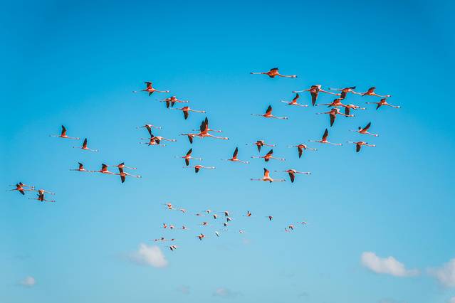 古巴老爷车日落,古巴旅行全记