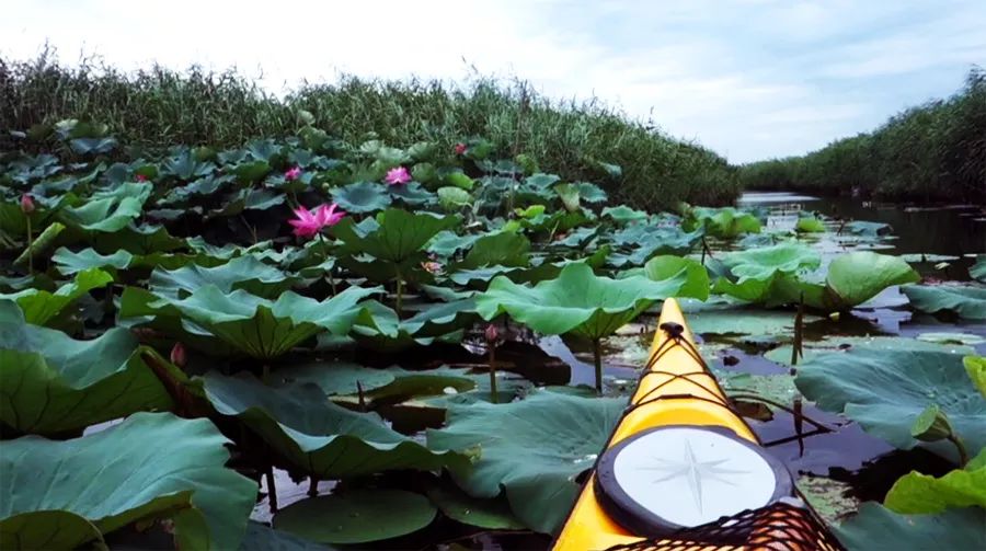 aca美国皮划艇协会培训,美国皮划艇协会aca等级证书