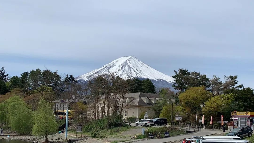 2019环富士山超级越野赛,环富士山越野赛2023冠军