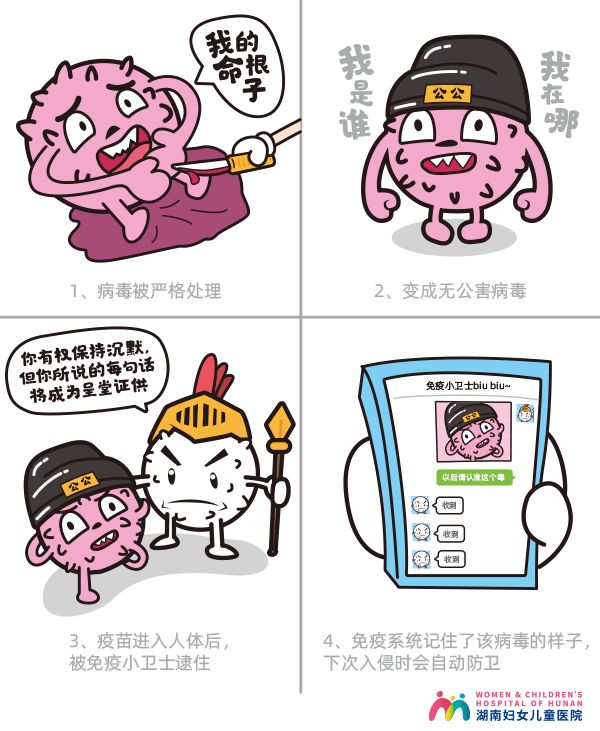 每个女性都有必要打hpv疫苗吗,每个女性都要打hpv九价疫苗吗