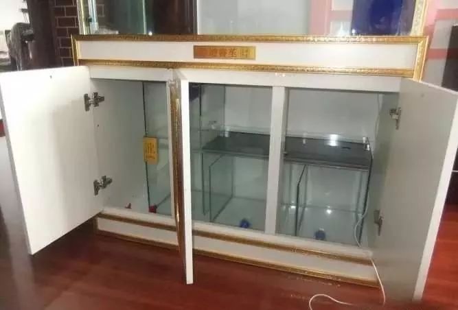 1.5米生态缸的用料及造景,1.2米的缸适合做什么缸