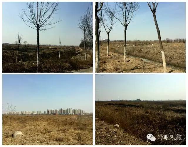 天津海教园买房利弊,不吹不黑的几句大实话