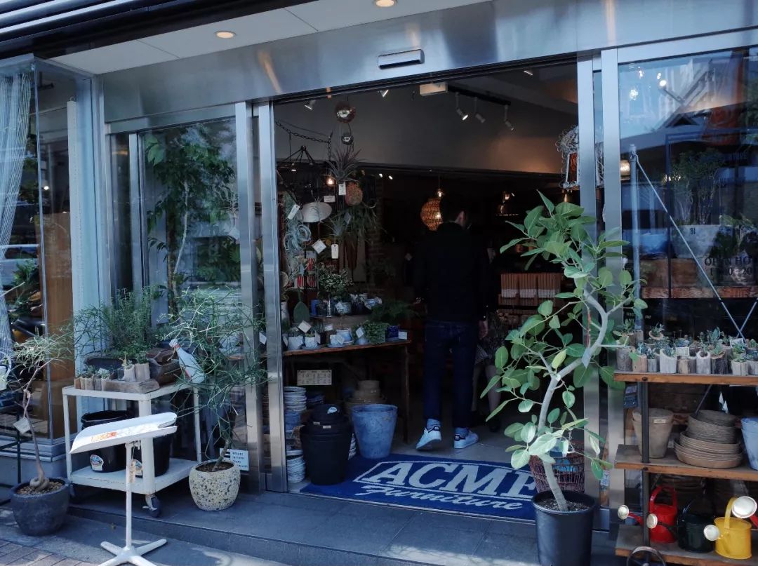 東京逛街地图：杂货、古着、家居、买手店...你想找的我都整理好了！