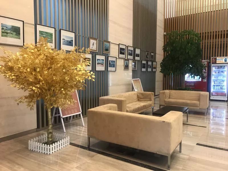 横琴中澳生物医药科技园,中澳生物医药