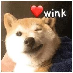 *旗国**做微信头像违法?!发完朋友圈网友慌了!到底怎么回事?