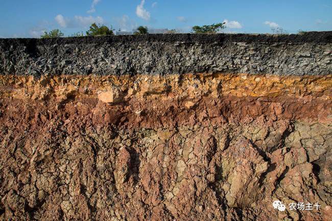 拿什么拯救你的自己,拿什么拯救你歌曲