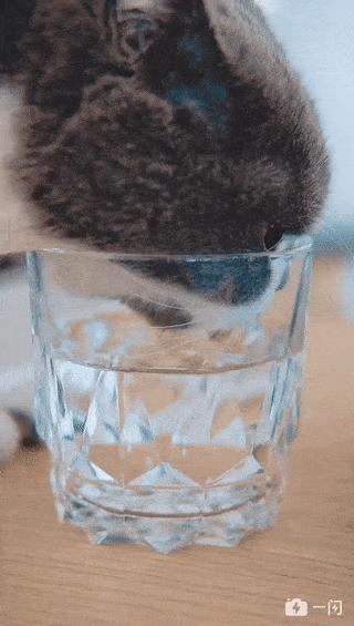 手机相机如何拍出慢镜头,华为手机怎么拍慢镜头的视频