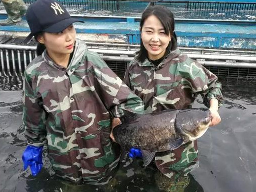 信阳值得去的景点推荐一下,信阳南湾湖能游吗