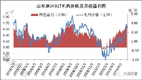 2024麻鸡养殖利润与成本,817大鸡利润空间